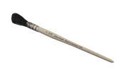 Guldlagede egernhår