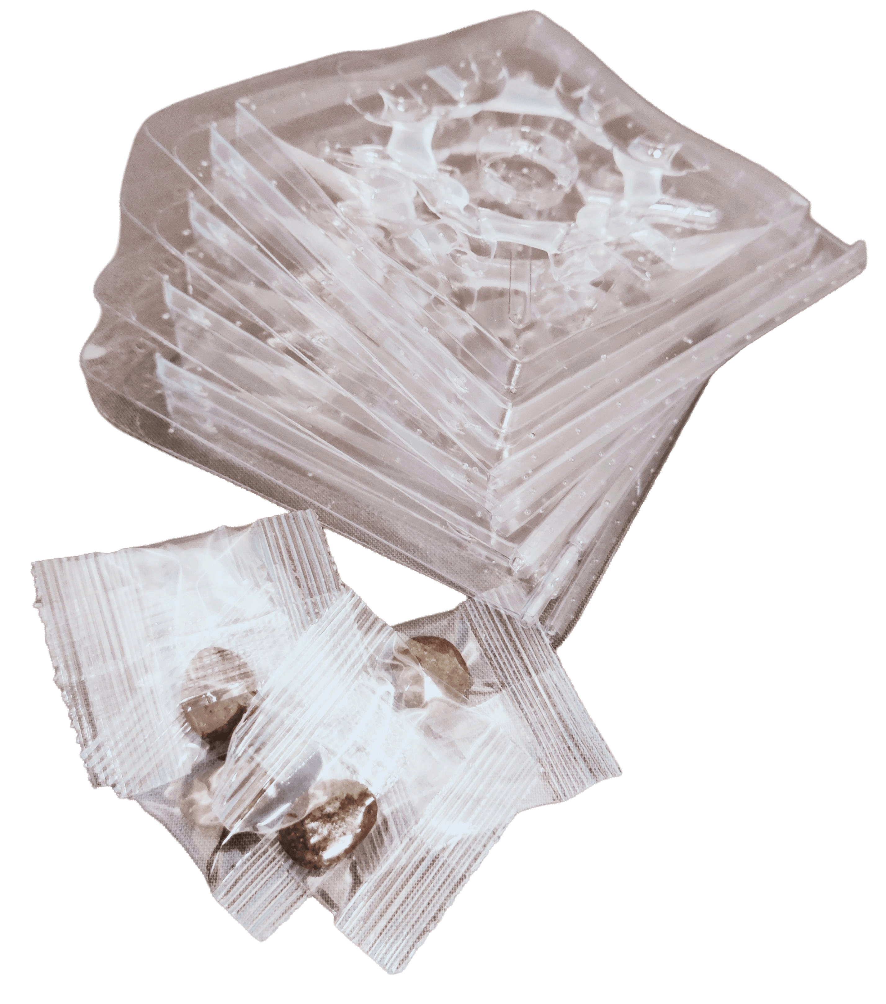 S-Trap för insekter