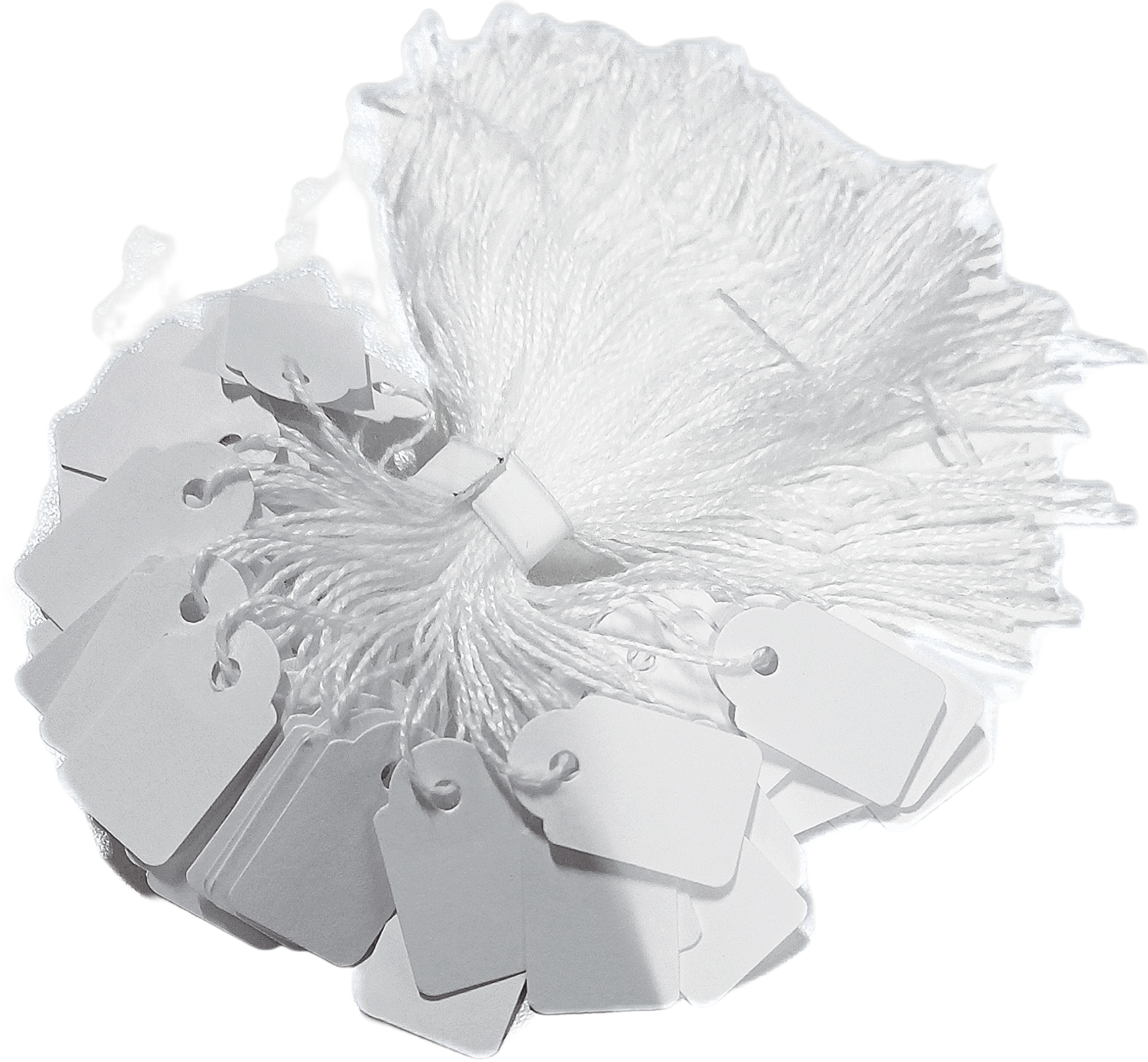 Snöretikett 15x24 mm