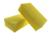 Torksvamp